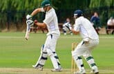 Cricket